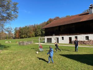 IMG 20241101 WA00011